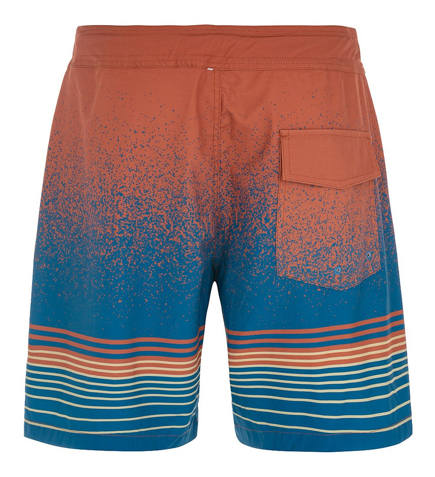 Men's shorts Kilpi ARIANY-M
